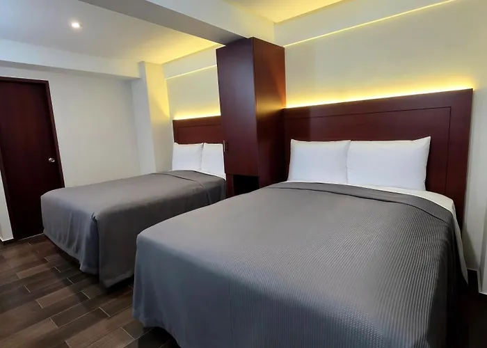 Kavia Lagunilla Cdmx Hotel Mexico