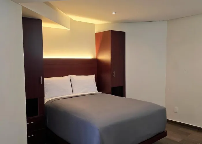 Kavia Lagunilla Cdmx Hotel Mexico