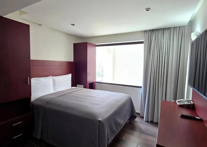 Kavia Lagunilla Cdmx Hotel Mexico